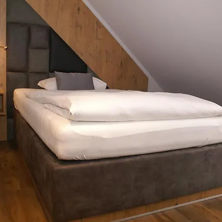 Grüner Baum Hotel 3*